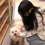 买大小单双彩票app